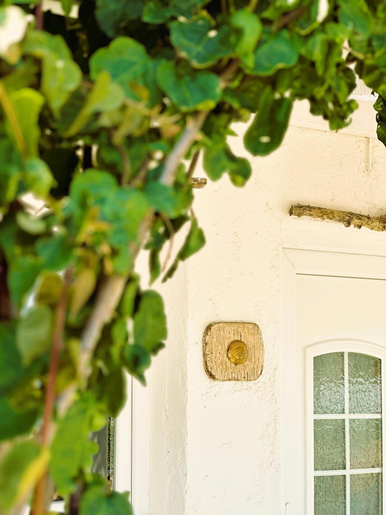 Errika'S Sweet Home Provatas Exterior photo